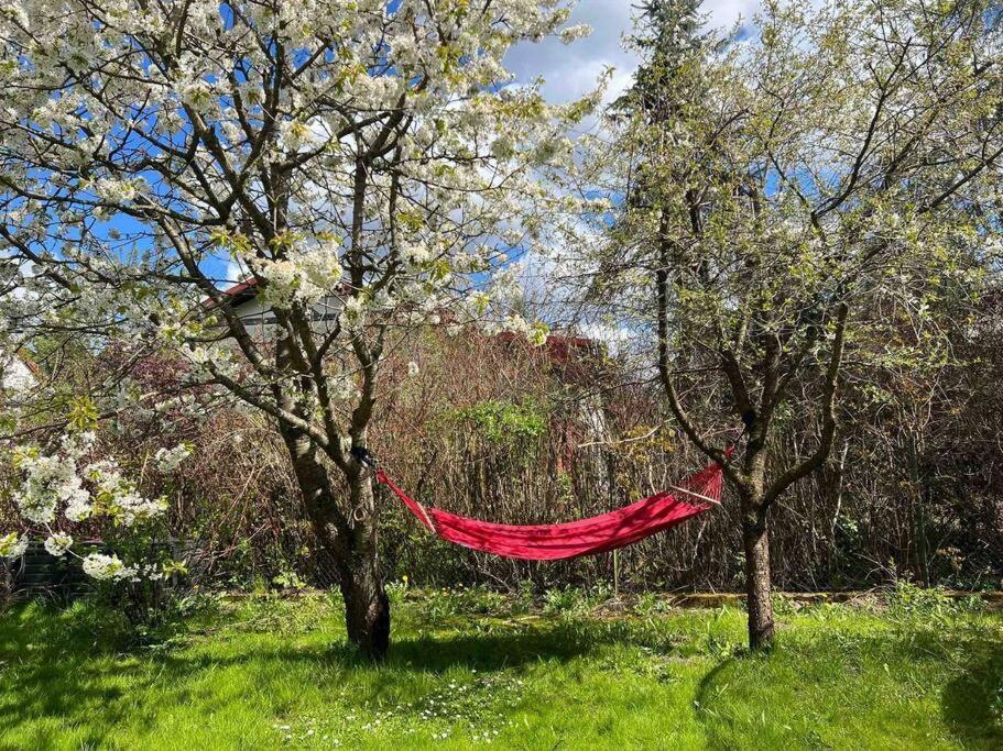 Apartament W ,Chlewiku” Gołdap Esterno foto